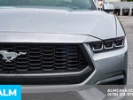 2025 Mustang Thumbnail 12