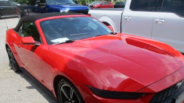 Preowned 2025 Ford Mustang EcoBoost for Sale