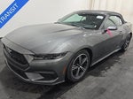 2025 Mustang Thumbnail 1