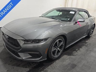 2025 Ford Mustang Ecoboost Premium 2DR Convertible