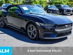 2025 Mustang Thumbnail 4