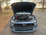 2025 Mustang Thumbnail 20