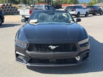 2026 Mustang Thumbnail 4