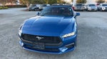 2024 Mustang Thumbnail 26