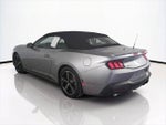2024 Mustang Thumbnail 7