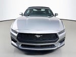 2024 Mustang Thumbnail 2