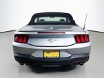 2024 Mustang Thumbnail 6