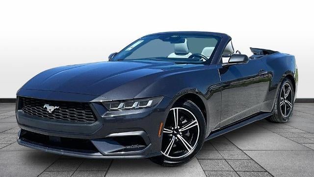 Preowned 2024 Ford Mustang EcoBoost for Sale