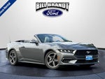 2024 Mustang Thumbnail 1