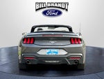 2024 Mustang Thumbnail 5