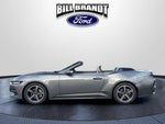 2024 Mustang Thumbnail 7