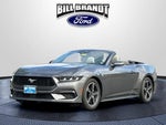 2024 Mustang Thumbnail 8