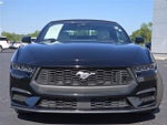 2024 Mustang Thumbnail 14