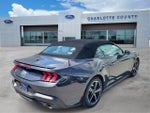 2024 Mustang Thumbnail 5