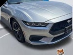 2024 Mustang Thumbnail 1