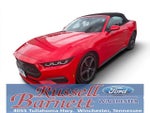 2025 Mustang Thumbnail 1
