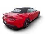 2025 Mustang Thumbnail 4