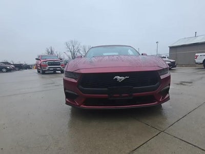 Photo of a 2025 Ford Mustang Ecoboost 2DR Convertible for sale