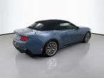2026 Mustang Thumbnail 7