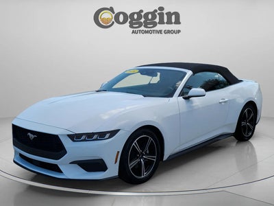 Photo of a 2024 Ford Mustang Ecoboost 2DR Convertible for sale