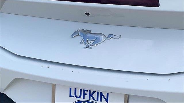 2024 Ford Mustang EcoBoost