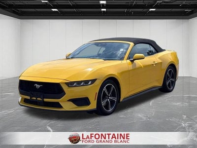 Photo of a 2024 Ford Mustang Ecoboost Premium 2DR Convertible for sale