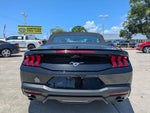 2024 Mustang Thumbnail 5