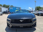 2024 Mustang Thumbnail 9