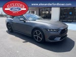 2024 Mustang Thumbnail 3