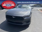 2024 Mustang Thumbnail 5