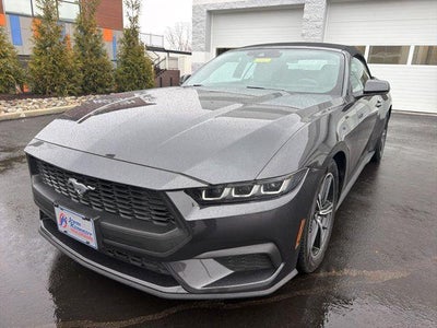 Photo of a 2024 Ford Mustang Ecoboost 2DR Convertible for sale