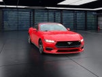 2025 Mustang Thumbnail 2