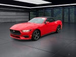 2025 Mustang Thumbnail 4