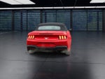 2025 Mustang Thumbnail 7