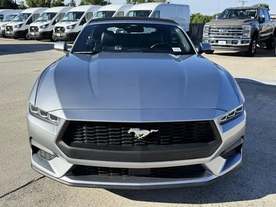 Photo of a 2025 Ford Mustang Ecoboost 2DR Convertible for sale