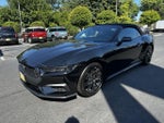 2026 Mustang Thumbnail 9
