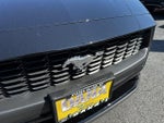 2026 Mustang Thumbnail 10