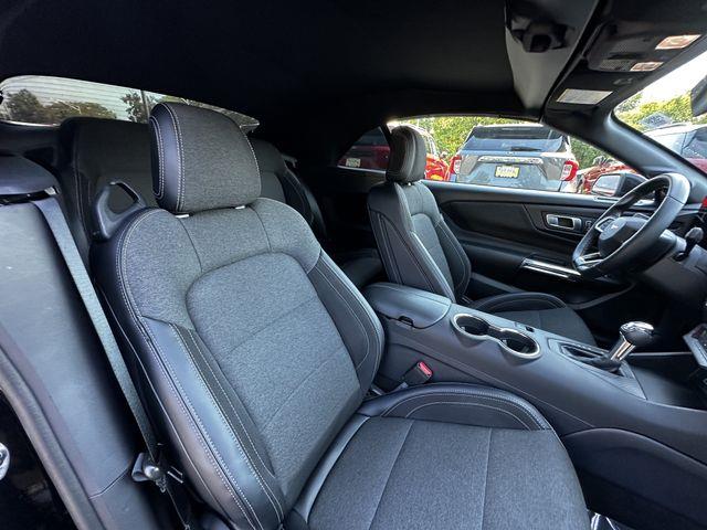 2026 Ford Mustang - $38,500