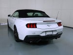2024 Mustang Thumbnail 5