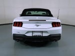 2024 Mustang Thumbnail 7