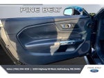 2024 Mustang Thumbnail 17