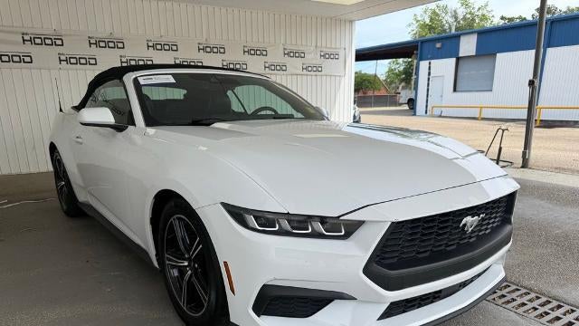 Preowned 2024 Ford Mustang EcoBoost for Sale