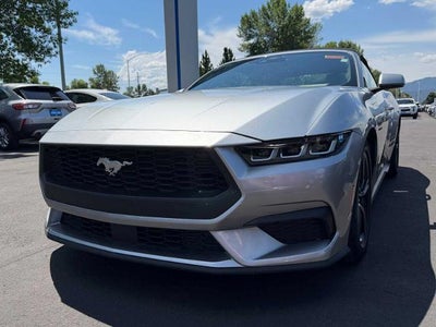 Photo of a 2024 Ford Mustang Ecoboost 2DR Convertible for sale