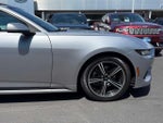 2024 Mustang Thumbnail 5