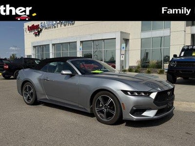 Photo of a 2024 Ford Mustang Ecoboost 2DR Convertible for sale