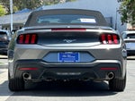 2025 Mustang Thumbnail 4