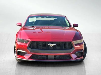 Photo of a 2025 Ford Mustang Ecoboost 2DR Convertible for sale