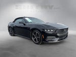 2024 Mustang Thumbnail 13