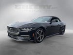 2024 Mustang Thumbnail 14