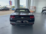2024 Mustang Thumbnail 5
